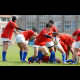 image 11 of 61